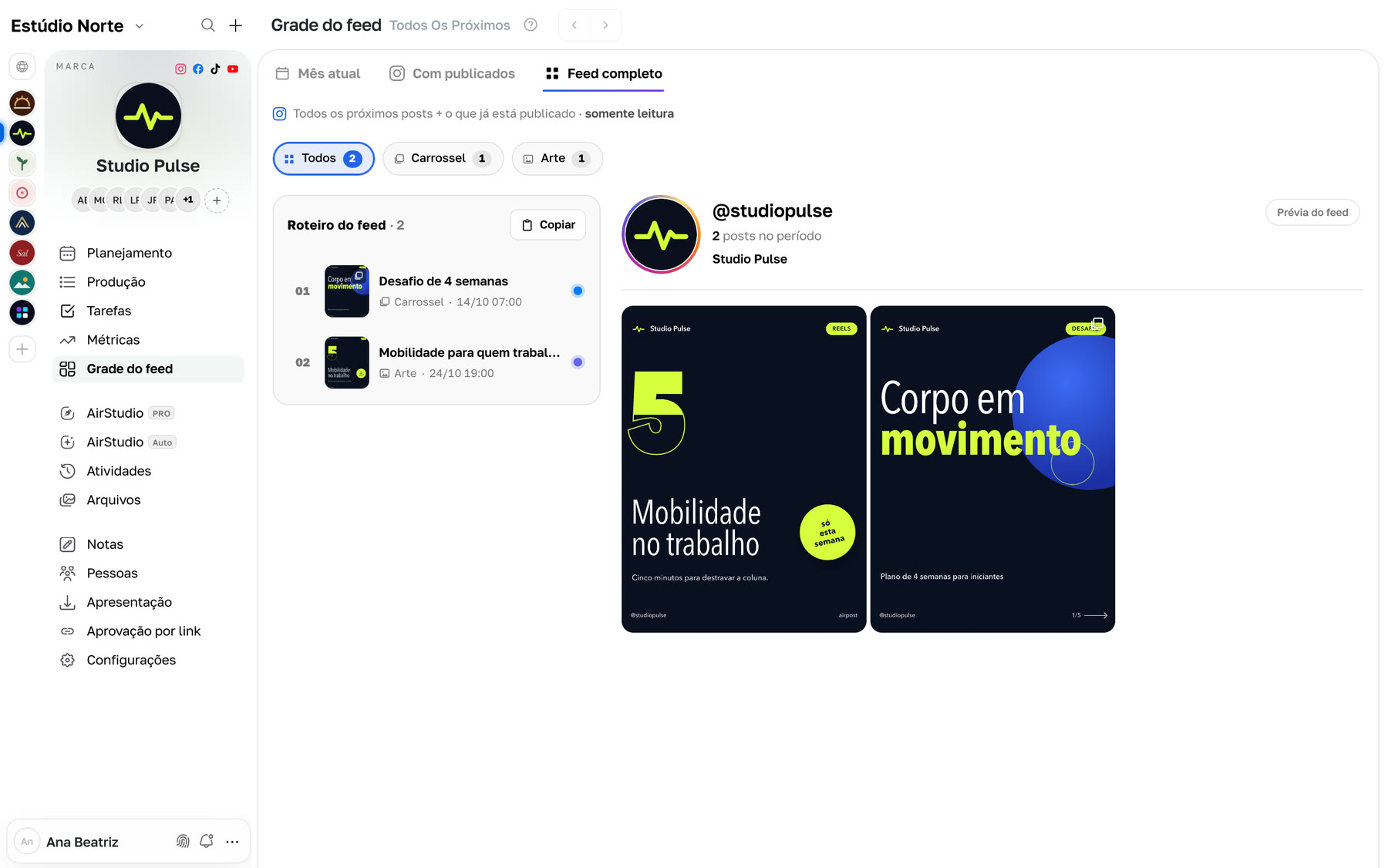 Feed completo com o roteiro dos próximos posts
